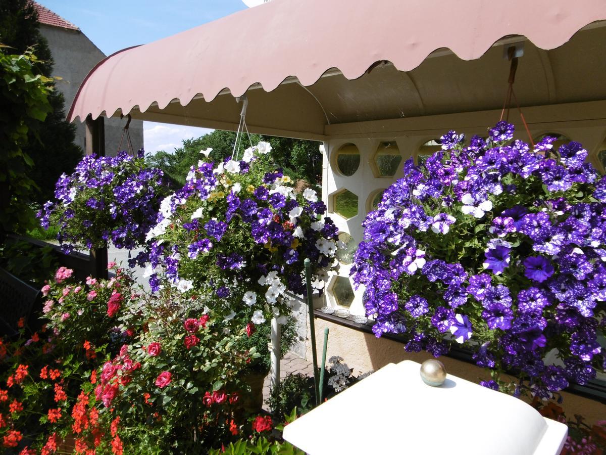 Hotel&Pension Aßmann Hochkirch Exterior foto